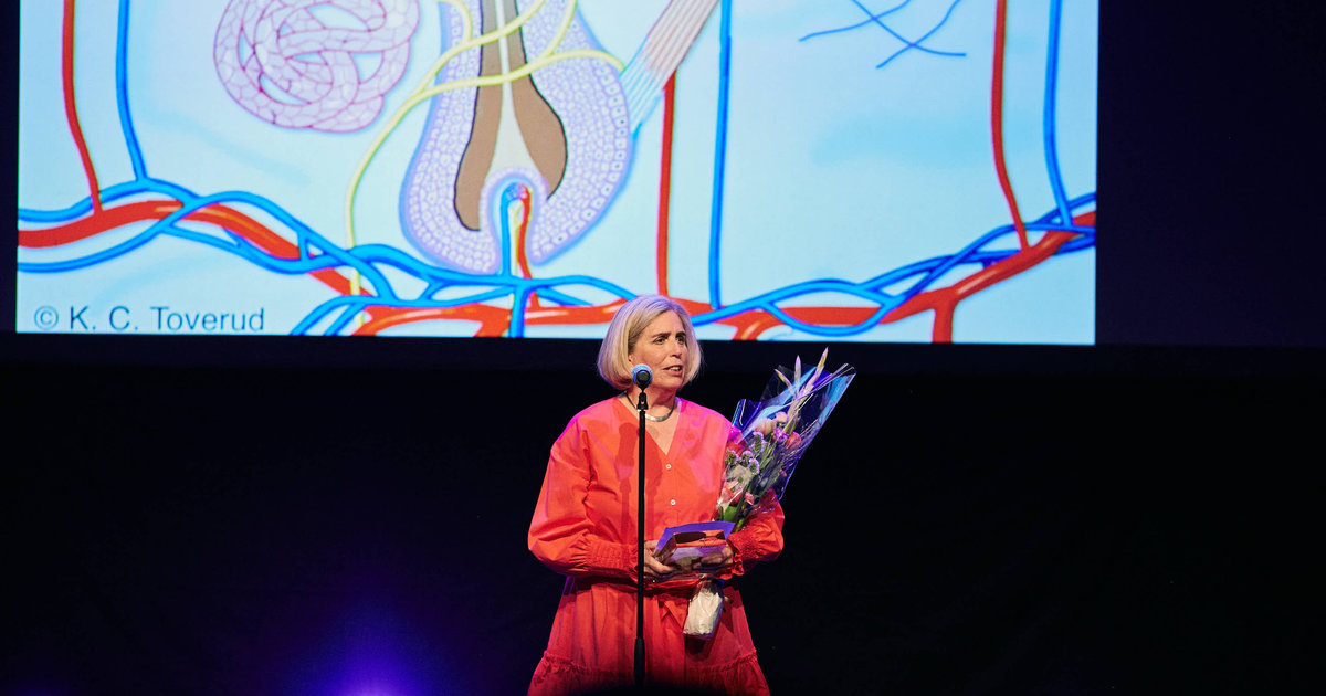 Graffil Illustratør Kari C. Toverud er tildelt Klassikerprisen 2023 – Grafill